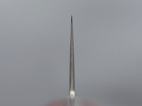 Tsunehisa AUS10 Damascus Kiritsuke Gyuto 210mm