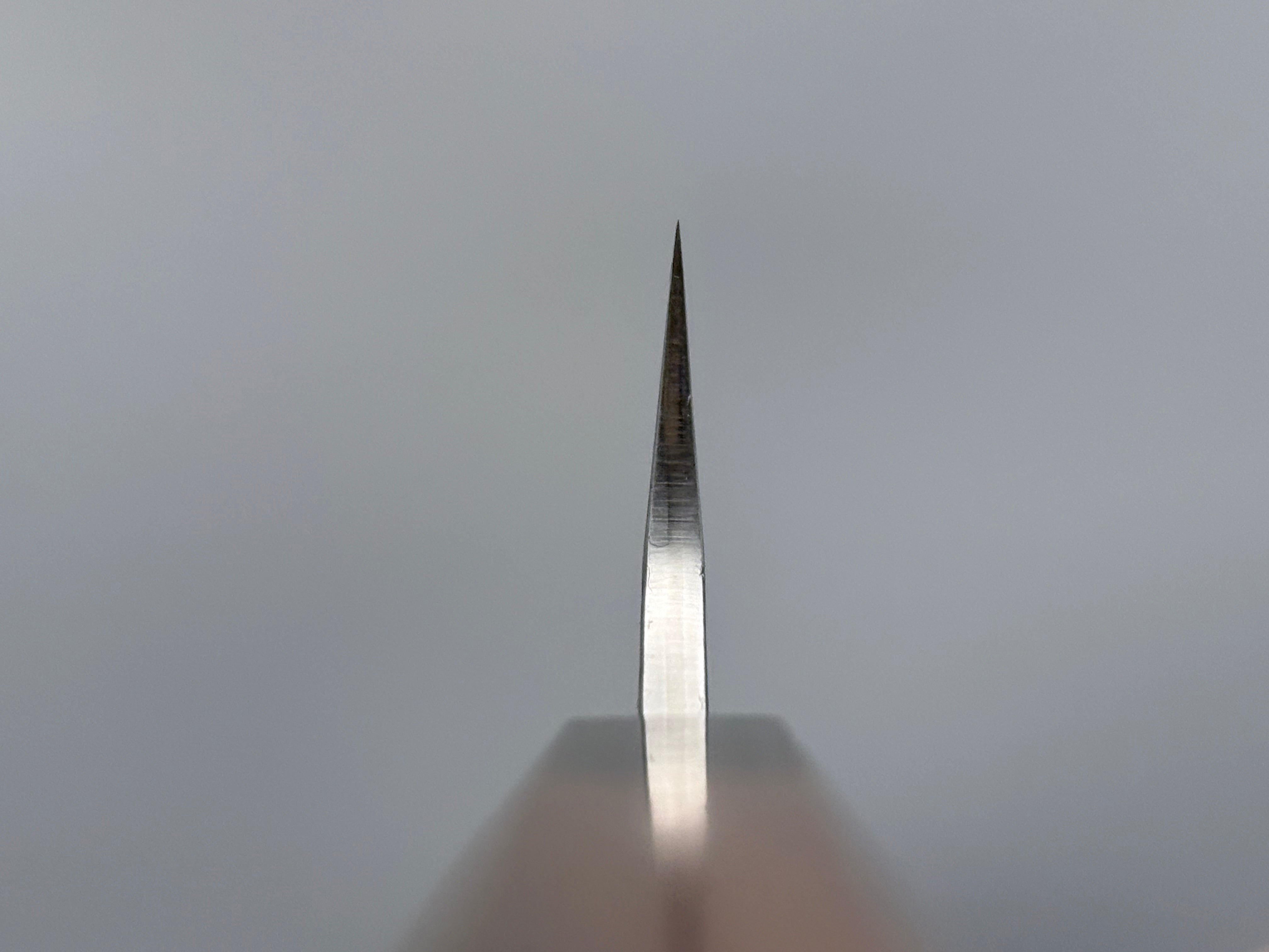 Yu Kurosaki Fujin SG2 Sujihiki 240mm