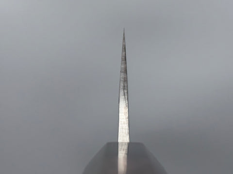 Yu Kurosaki Fujin SG2 Gyuto 210mm