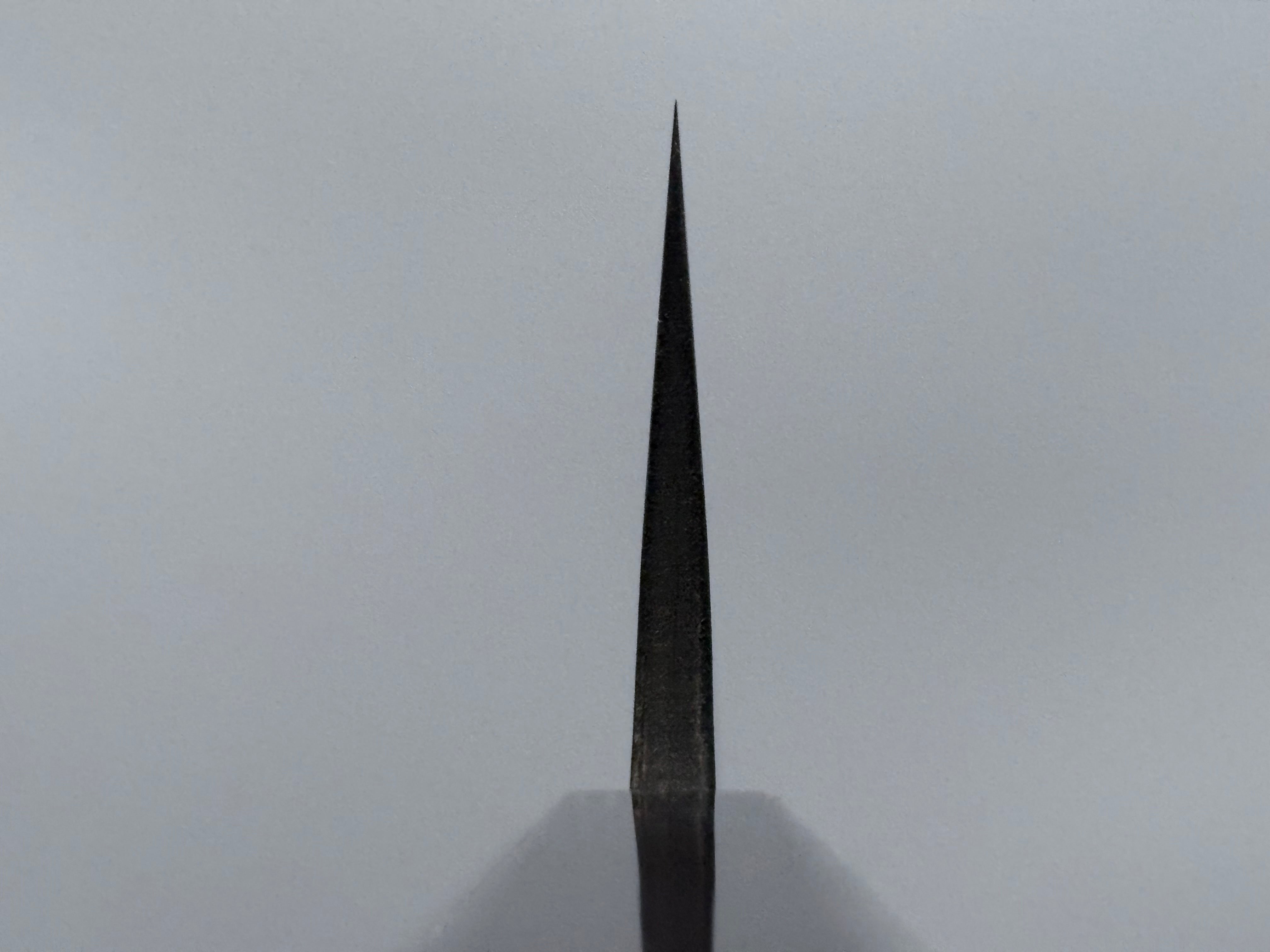 Hatsukokoro Shinkiro Gyuto 210mm