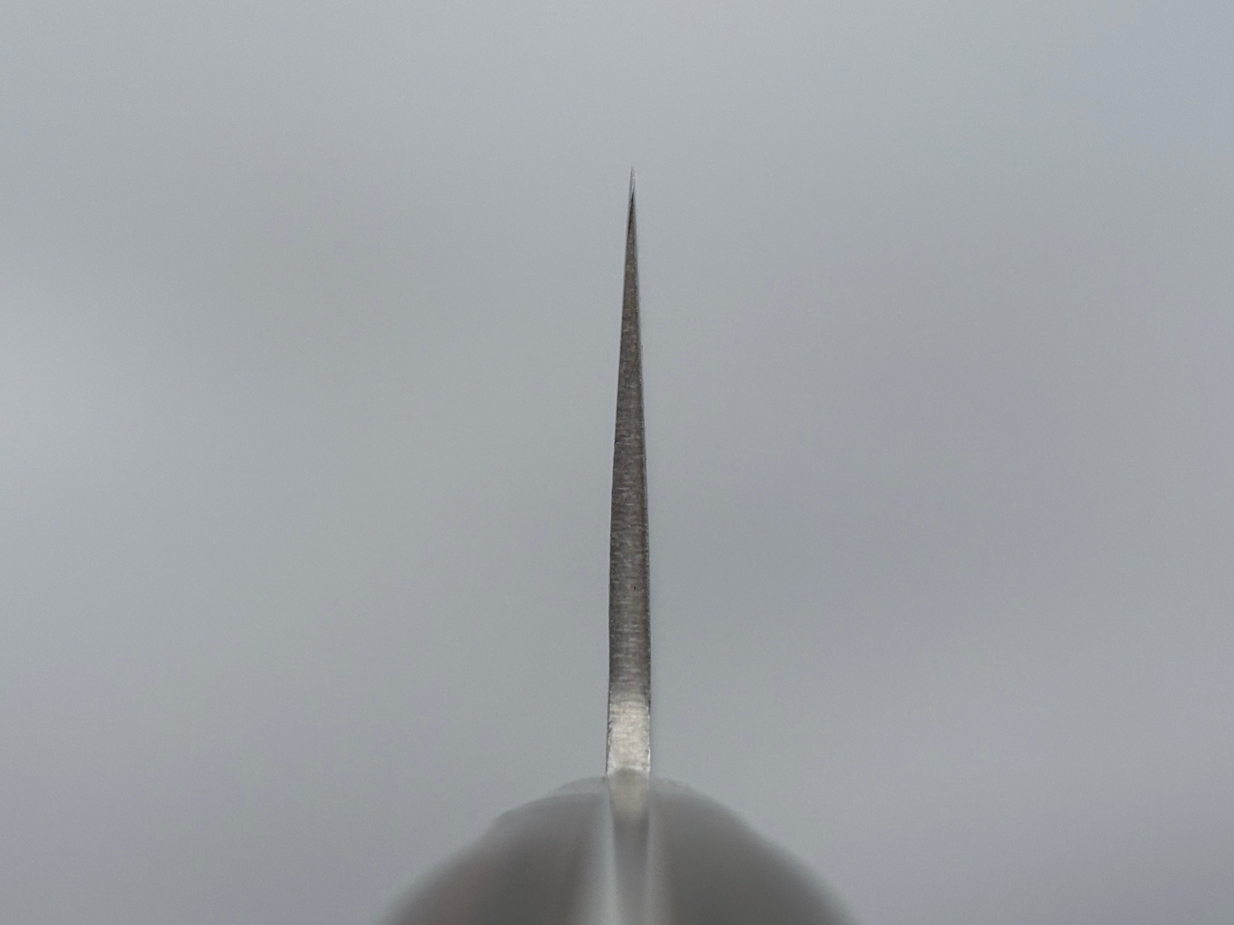 Tsunehisa AUS8 Gyuto 270mm