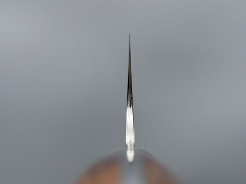 Hatsukokoro VG10 Migaki Gyuto 210mm