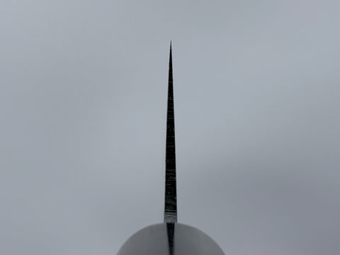 Muneishi Aogami Damascus Bunka