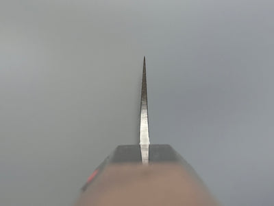 Shigeki Tanaka SG2 Damascus Sujihiki 210mm