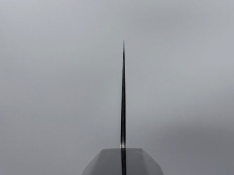 Hatsukokoro Ryuhyo SG2 Damascus Gyuto 210mm