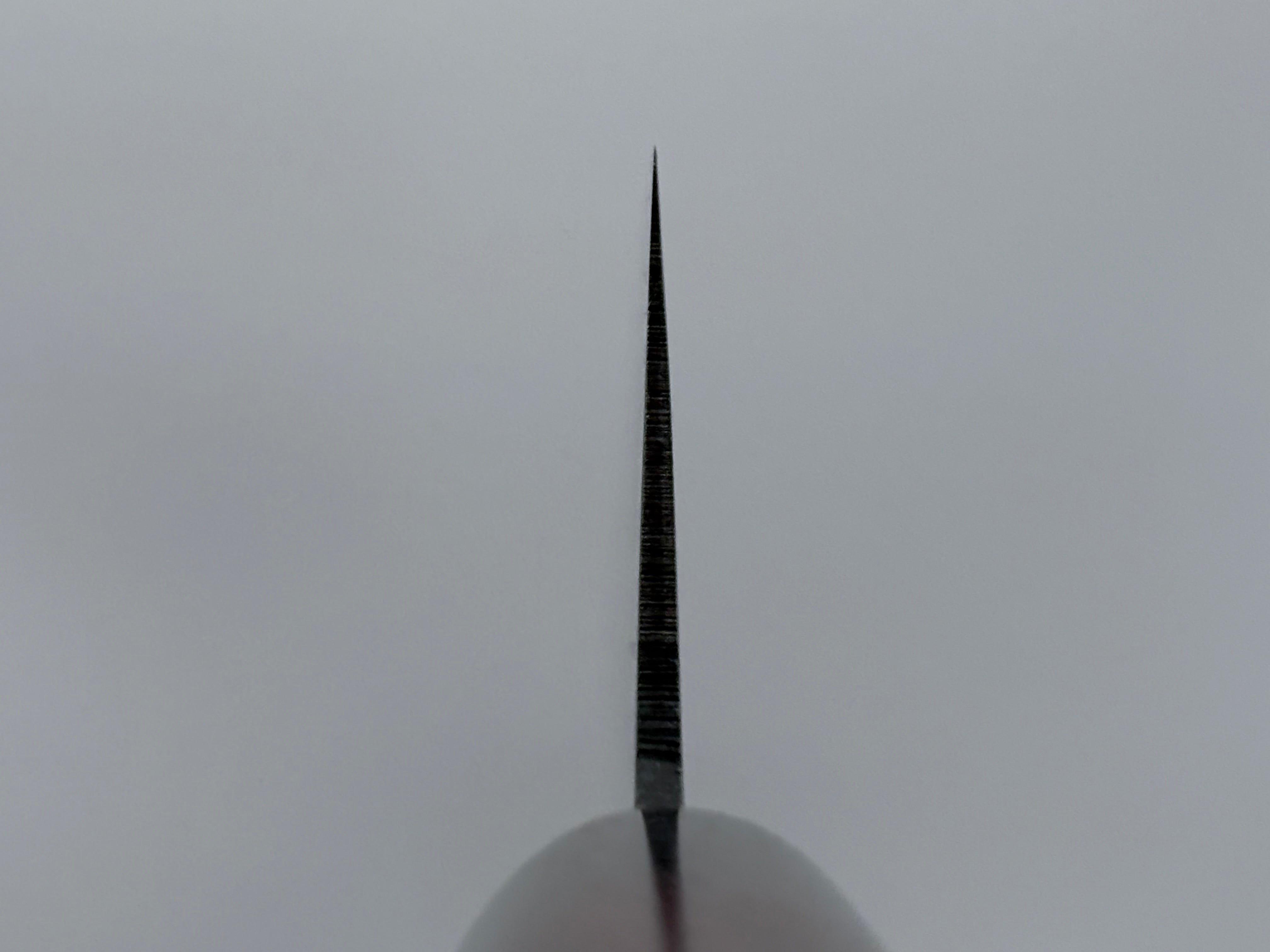 Muneishi Aogami Damascus Santoku