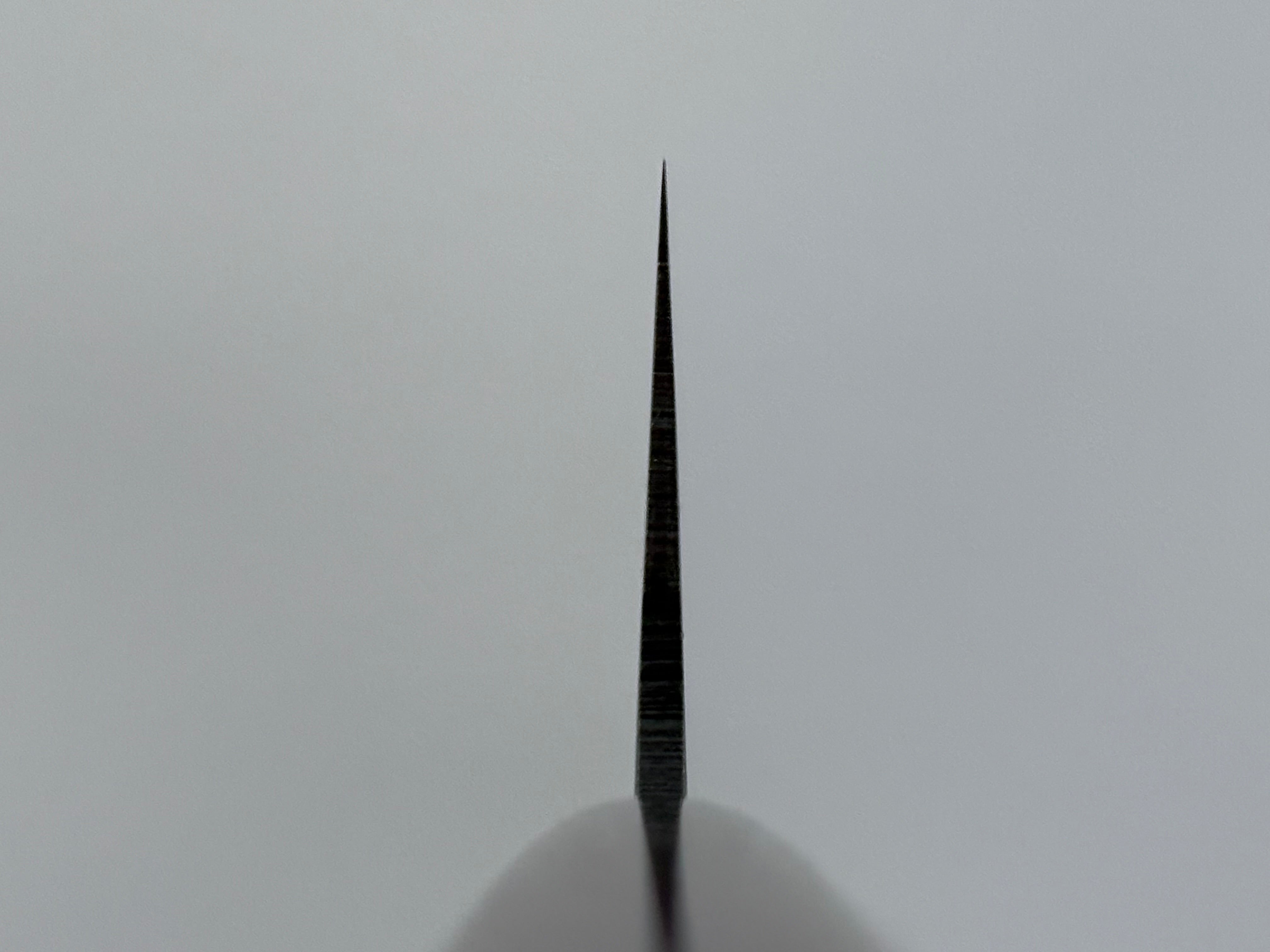Muneishi Aogami Damascus Gyuto 210mm