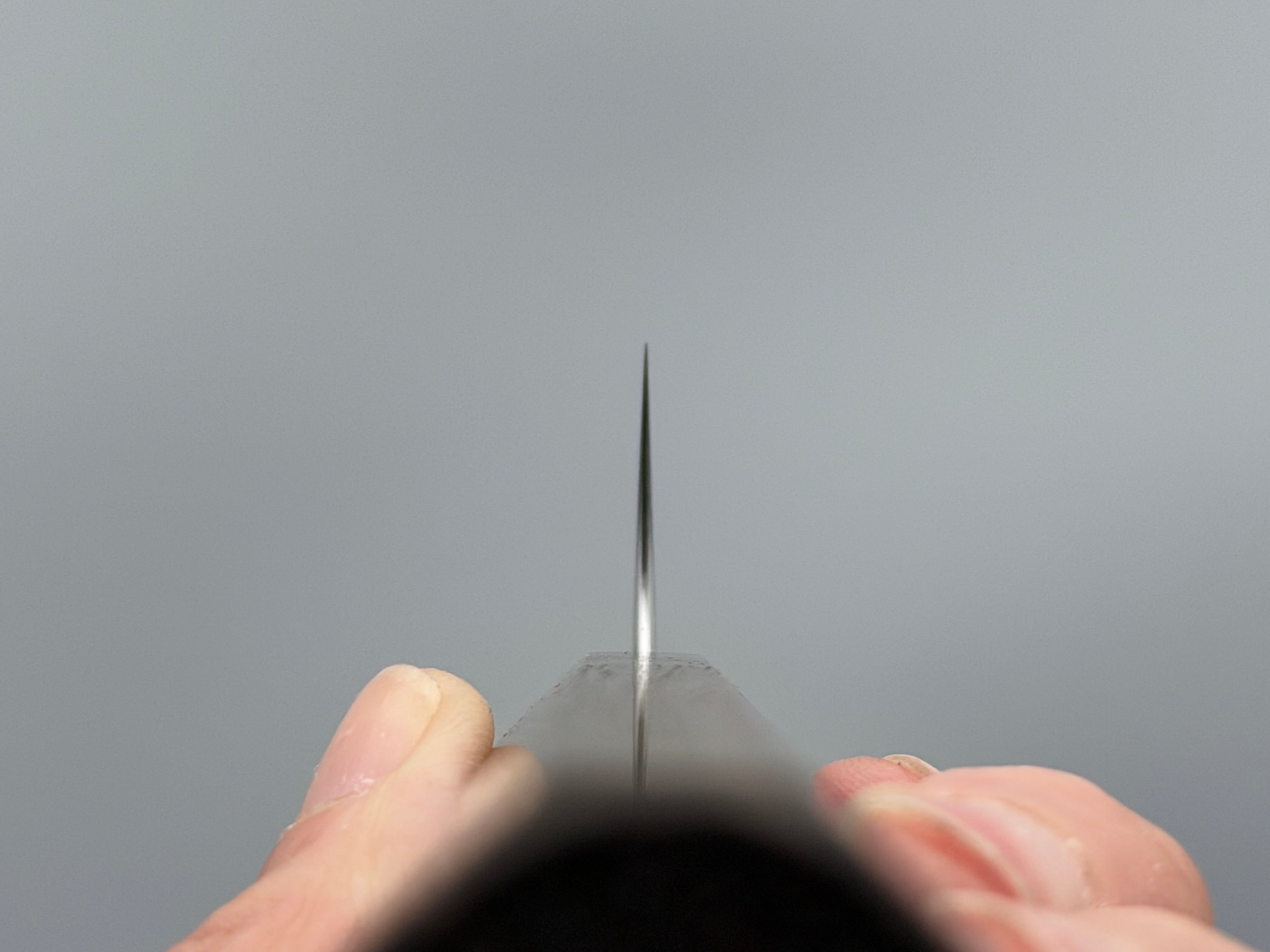 Koutetsu Chromax Sujihiki 240mm
