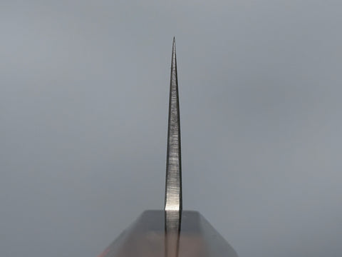 Shigeki Tanaka Blue #2 Gyuto 240mm