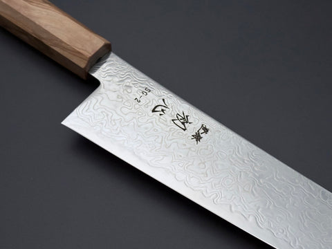 Hatsukokoro Ryuhyo SG2 Mirror Damascus Kiritsuke Gyuto 210mm