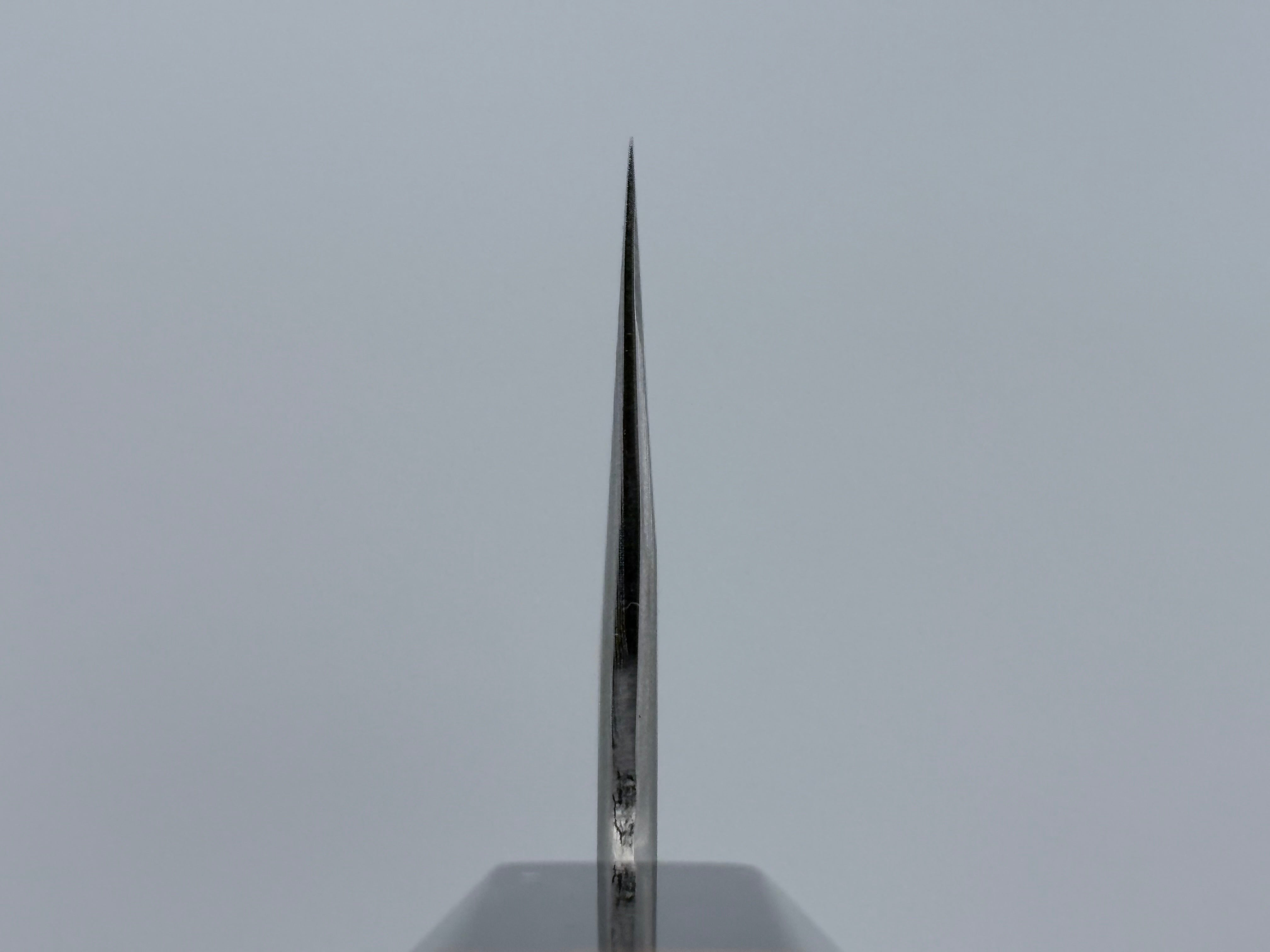 Hatsukokoro Ginsou Gyuto 210mm