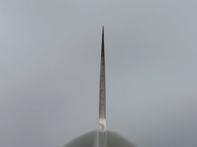 Tsunehisa AUS10 Damascus Gyuto 240mm