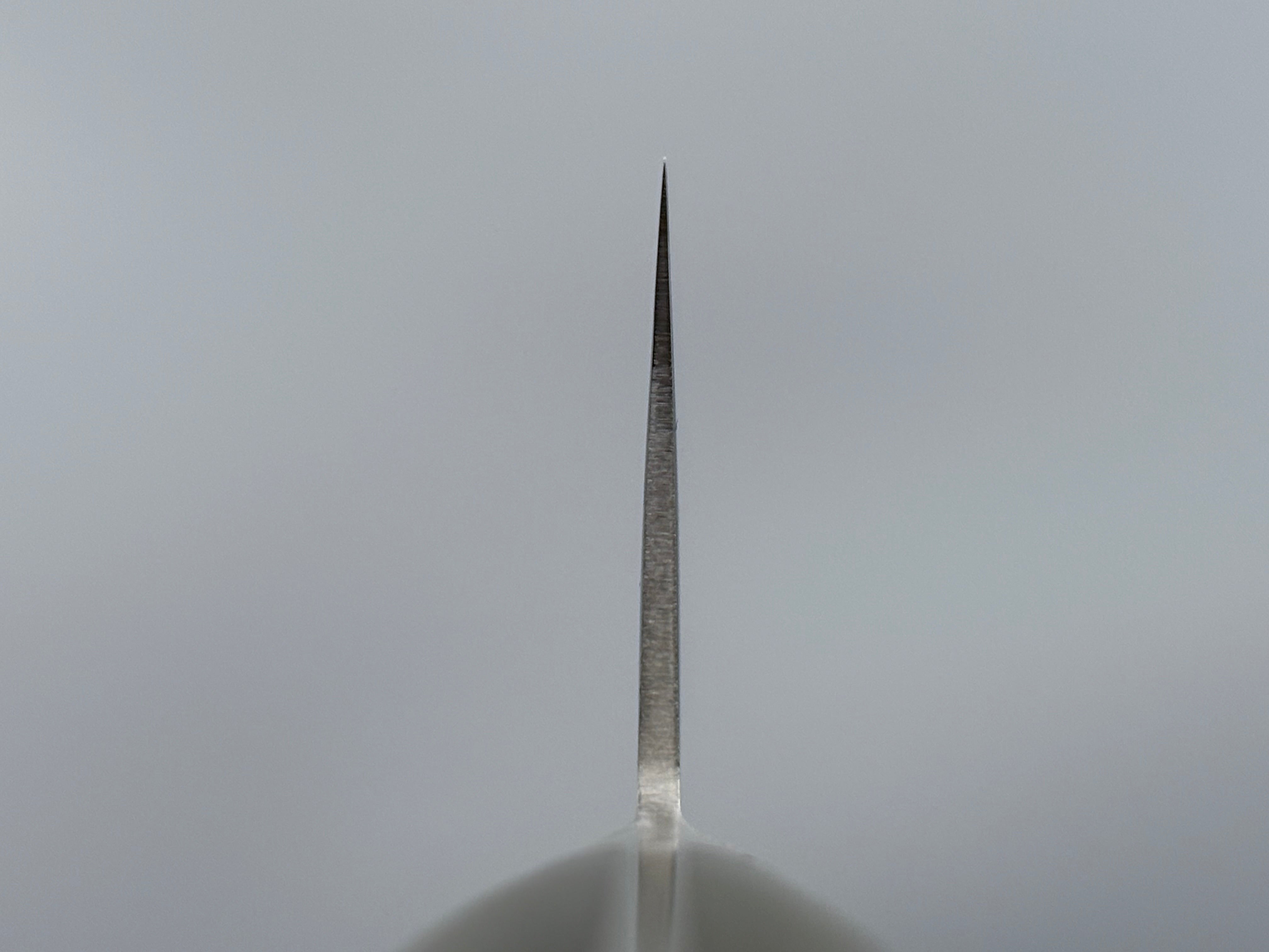 Tsunehisa AUS10 Damascus Gyuto 240mm