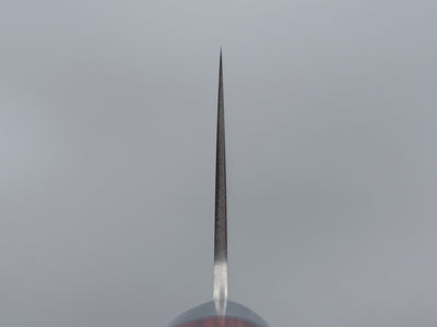 Takamura Hamono SG2 Santoku