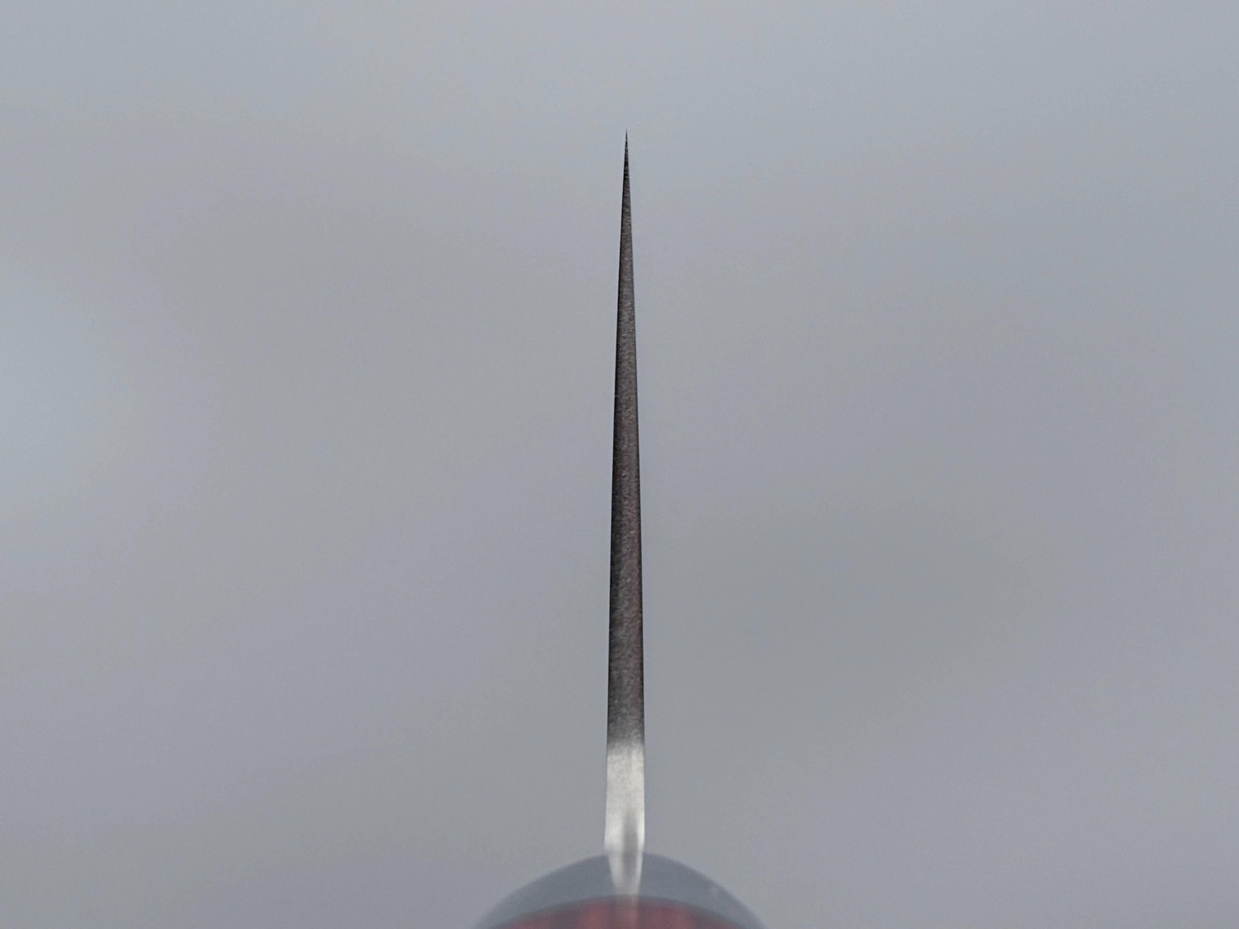 Takamura Hamono SG2 Santoku