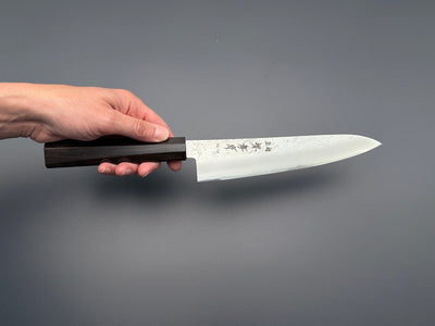 Sakai Takayuki VG10 Nashiji Gyuto 210mm