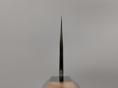 Shiro Kamo AS Kurouchi Gyuto 210mm