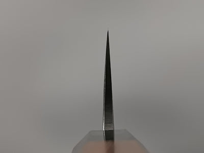 Hatsukokoro Kurokaze White #2 Gyuto 180mm