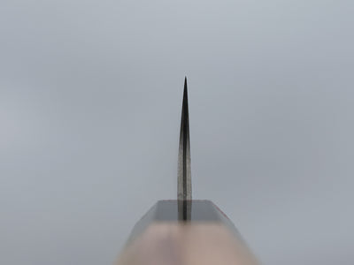 Takeshi Saji R2 Damascus Sujihiki 240mm