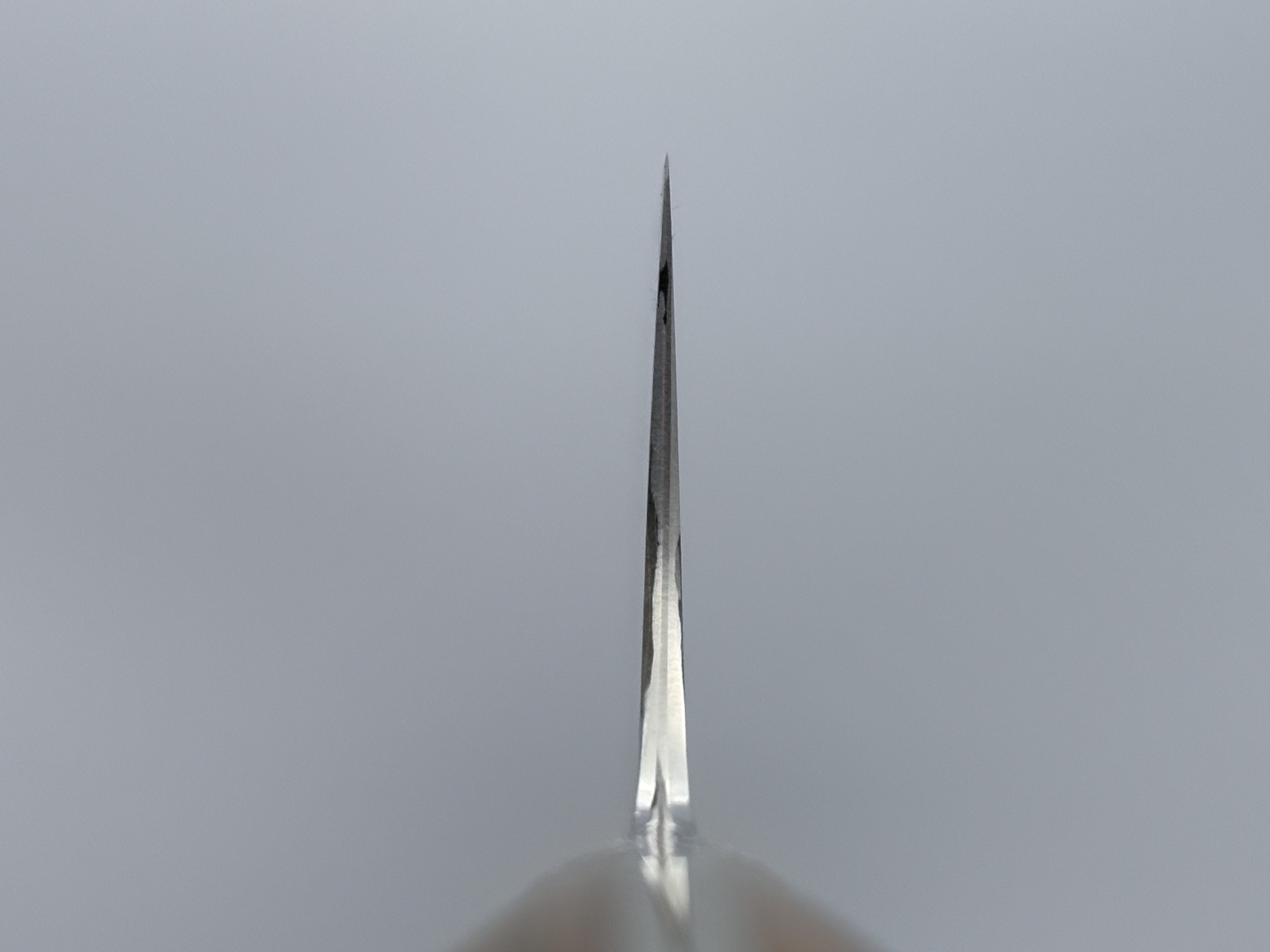 Nigara Hamono SG2 Damascus Gyuto 210mm