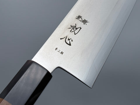 Hatsukokoro Kaijin Blue #2 Bunka