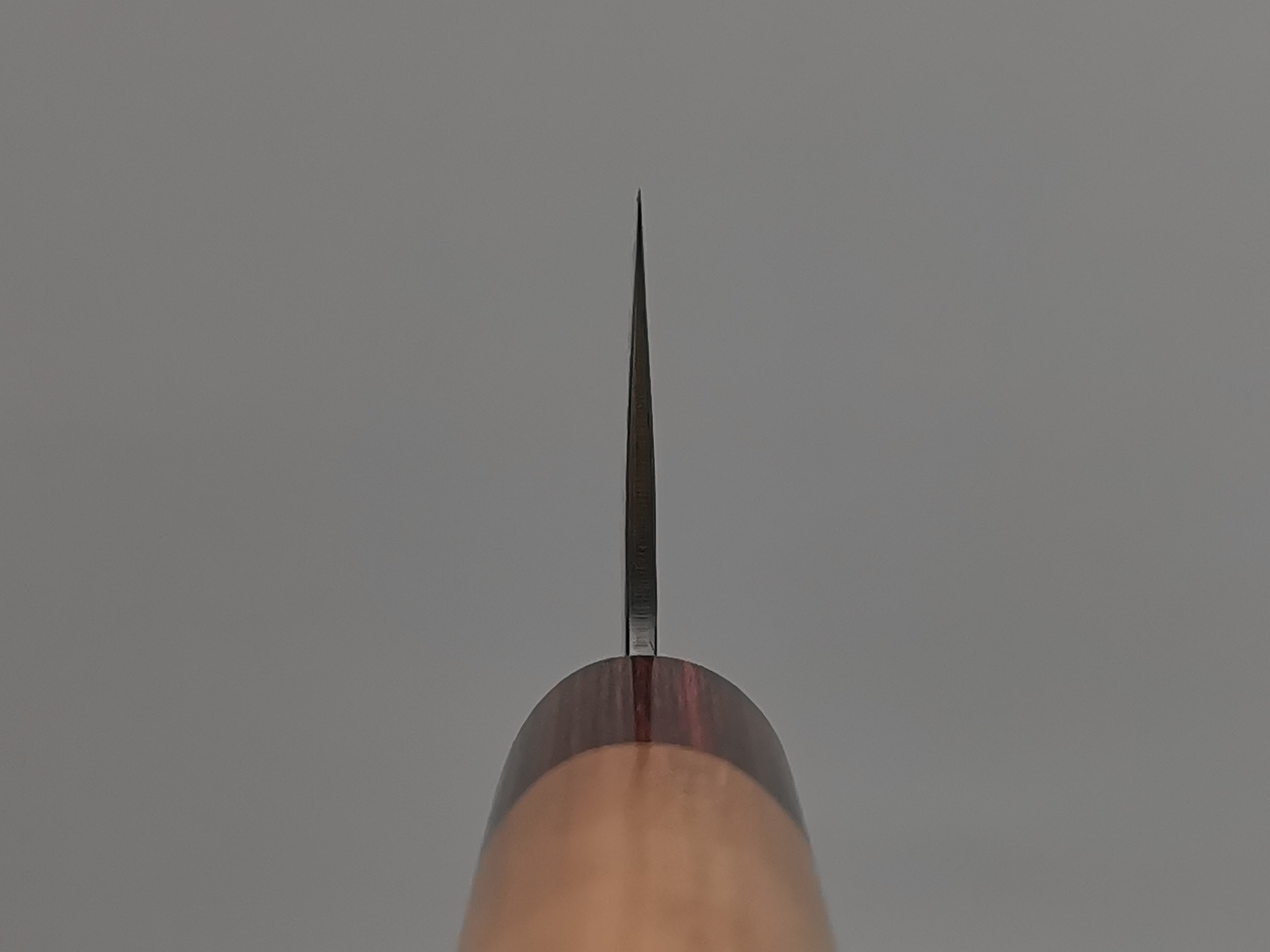 Tsunehisa AS Gyuto 240mm