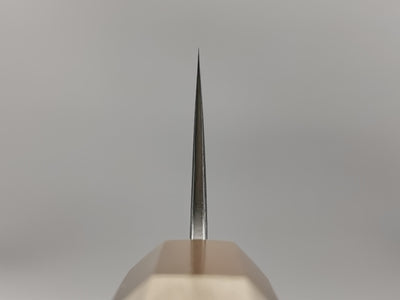 Nakamura Hamono Kaishin Ginsan Gyuto 210mm