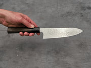 Hatsukokoro Ginga ATS-34 Santoku