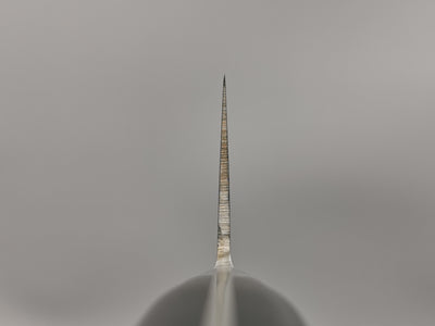 Tojiro DP Gyuto 210mm
