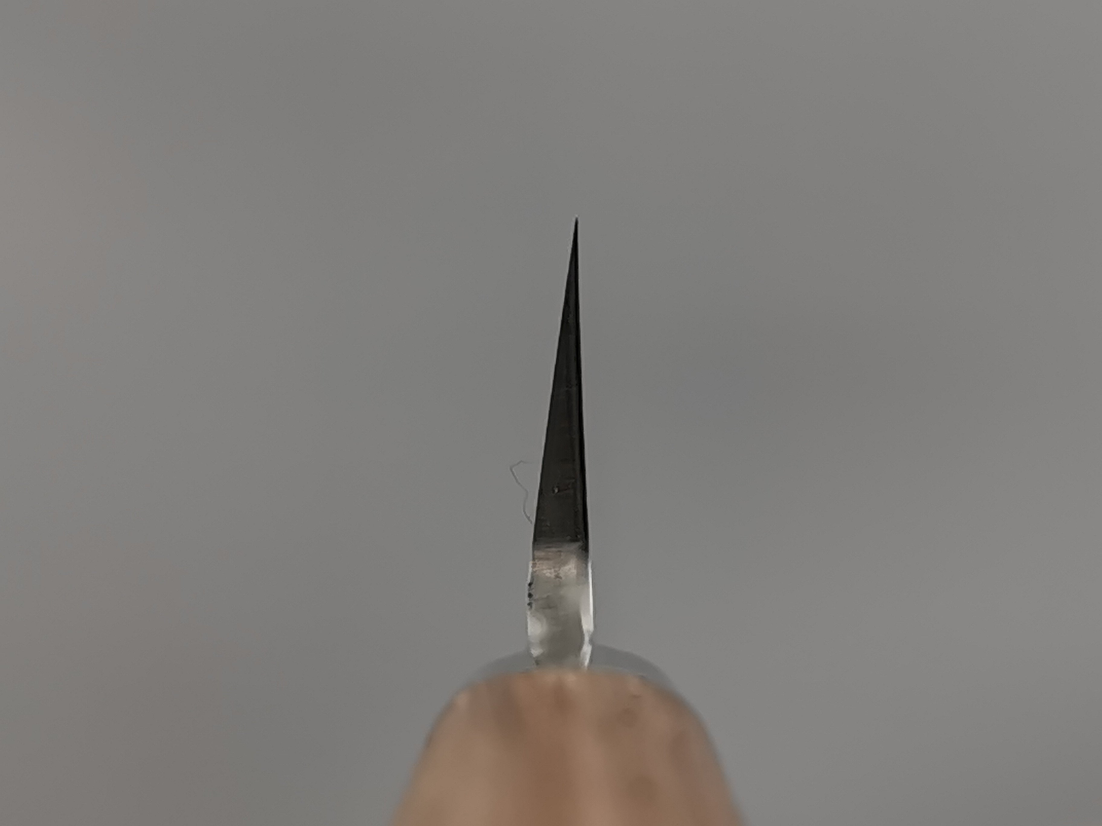 Tadafusa Hocho Kobo Yanagiba 210mm