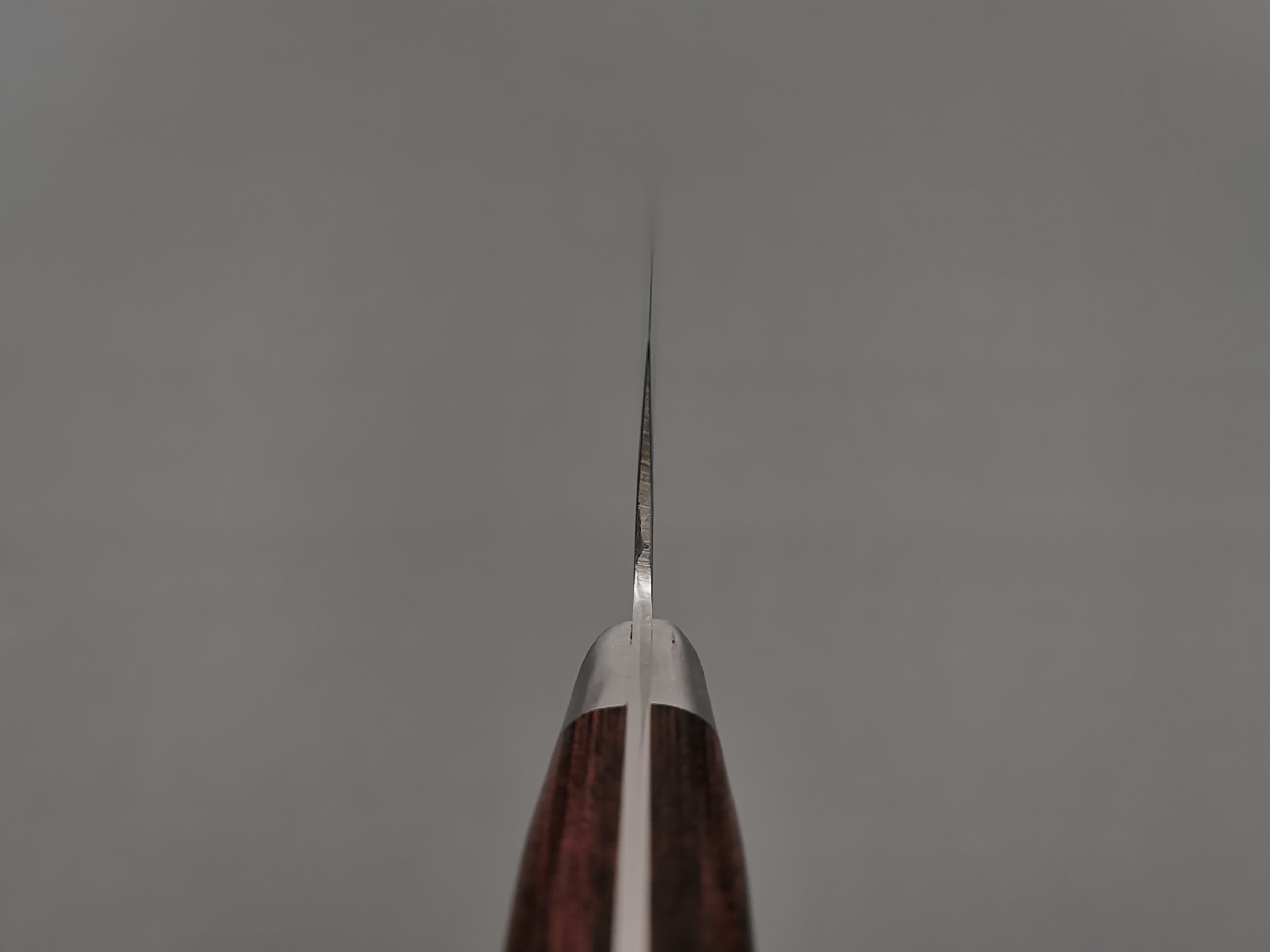 Sakai Takayuki Moonlit Waves Gyuto 210mm - Cutting Edge Knives