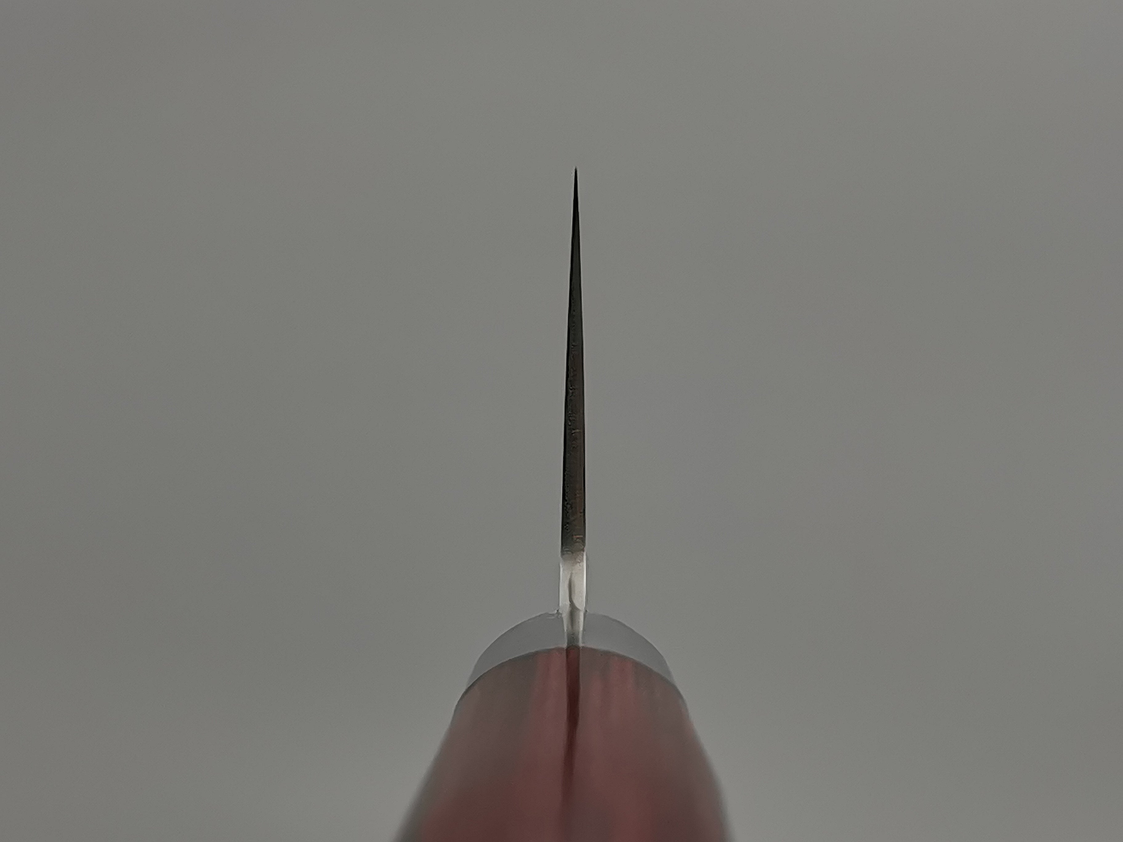 Takamura Hamono SG2 Gyuto 210mm