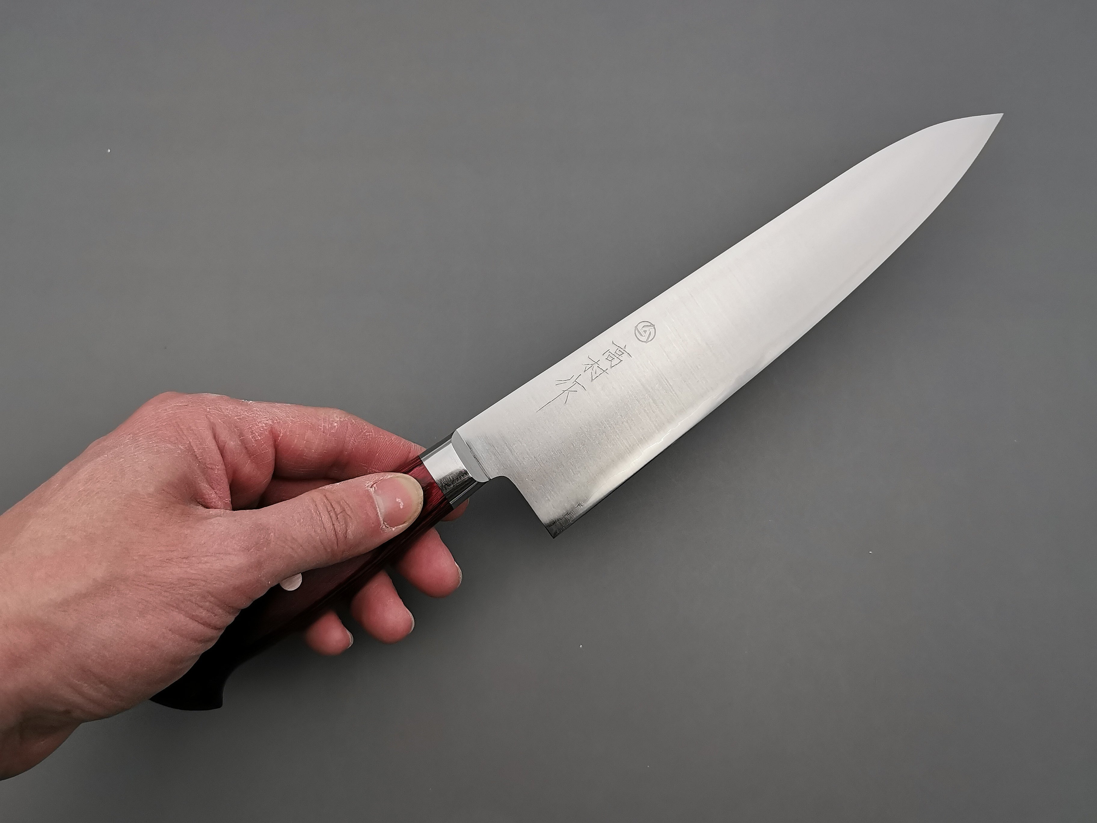Takamura Hamono SG2 Gyuto 210mm