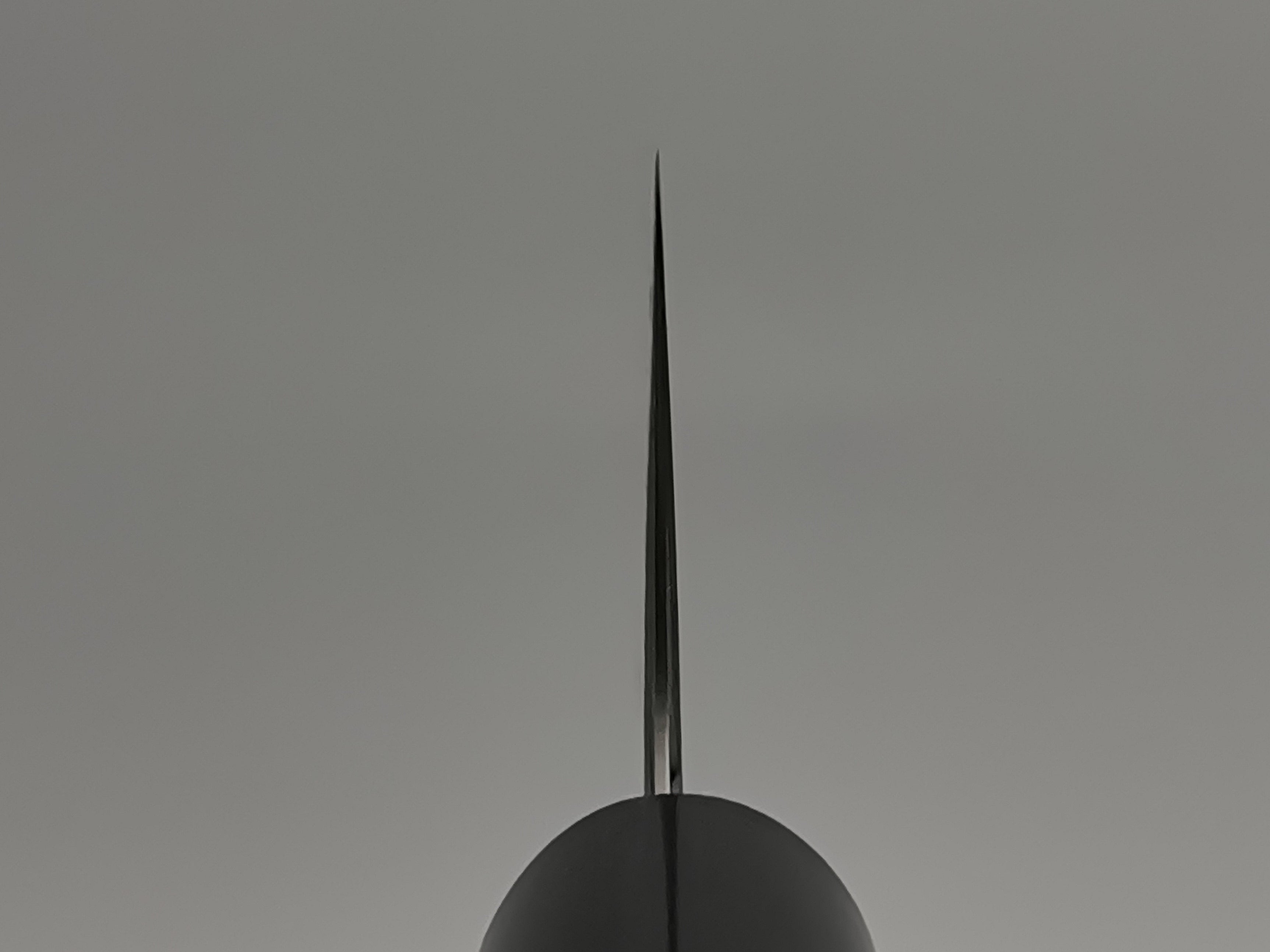 Tsunehisa AS Migaki Gyuto 210mm