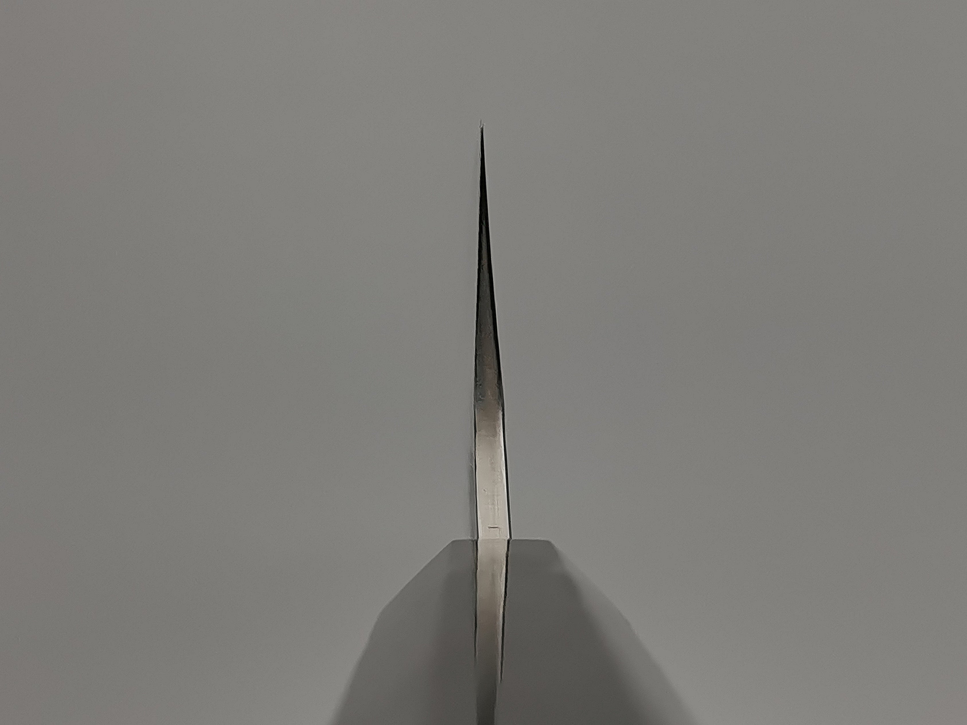 Yu Kurosaki Fūjin SG2 Gyuto 270mm