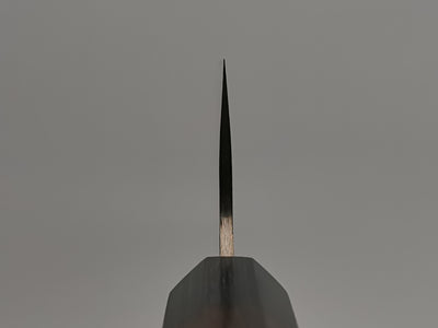 Takeshi Saji Rainbow Damascus Gyuto 210mm