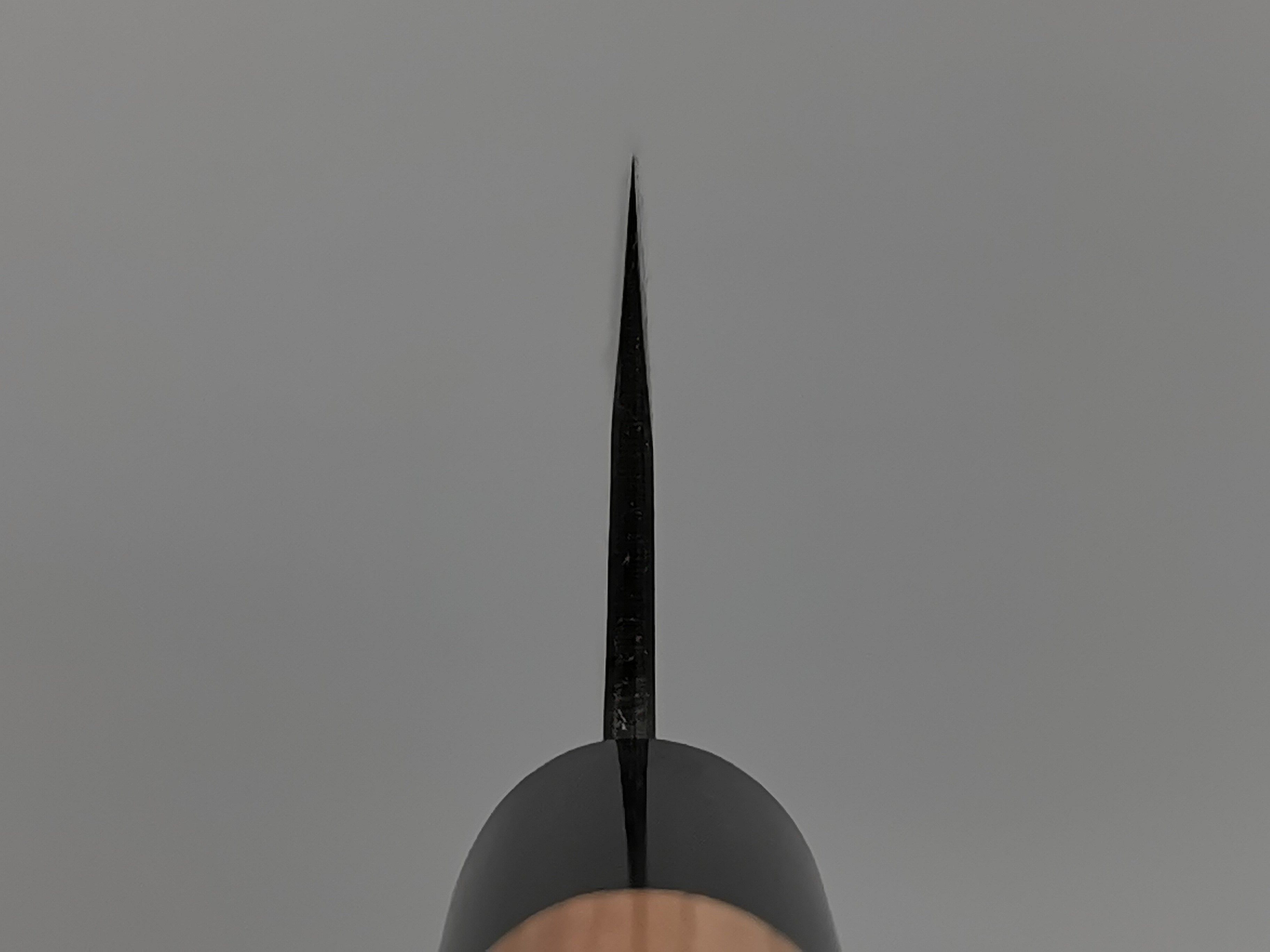 Muneishi Aogami Gyuto 210mm