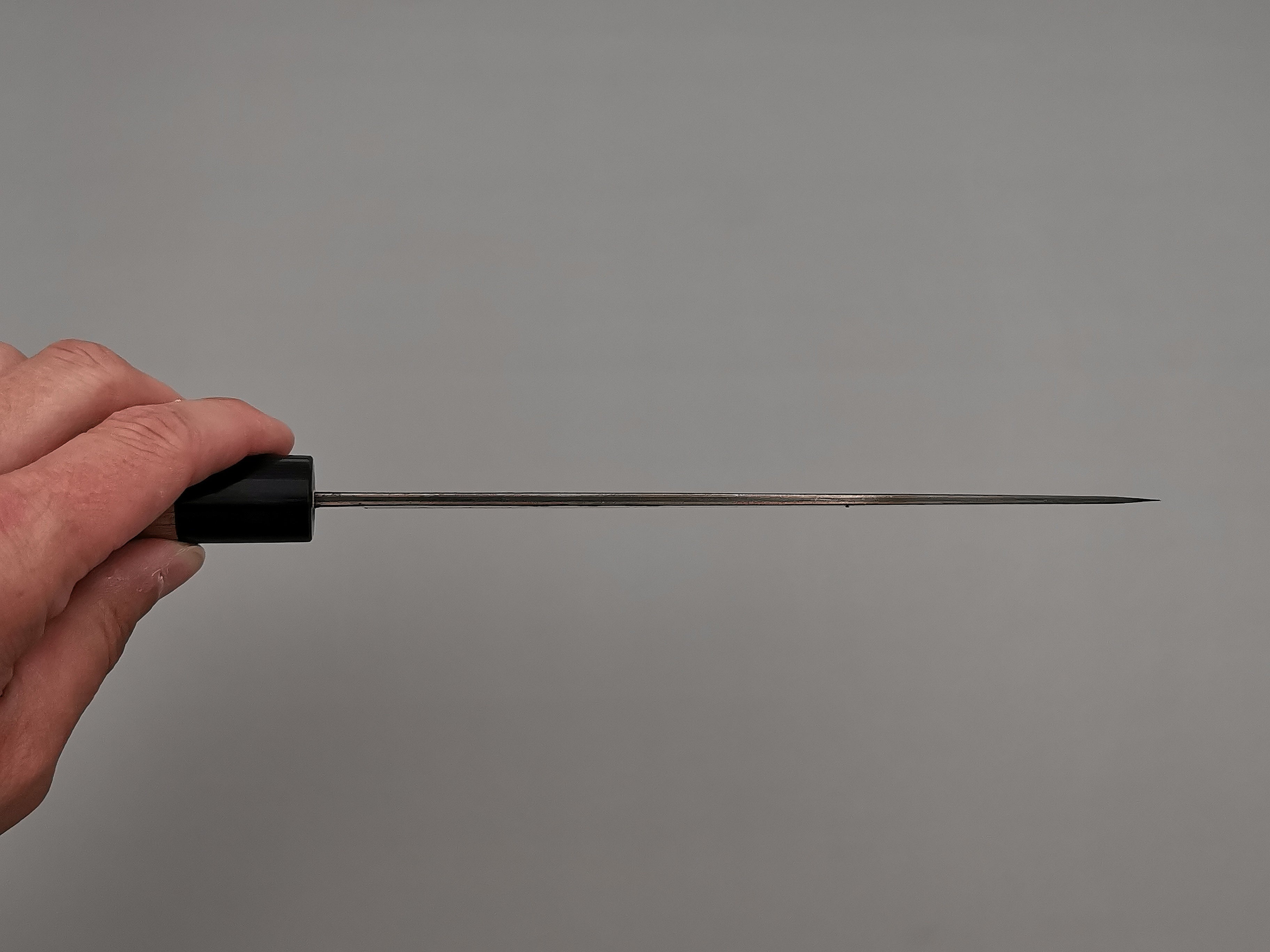 Muneishi Aogami Gyuto 210mm