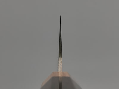 Takeshi Saji VG10 Rainbow Damascus Santoku