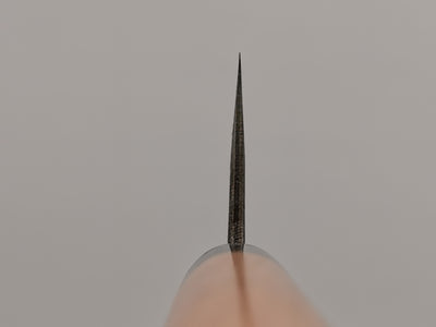 Muneishi Aogami Gyuto 240mm