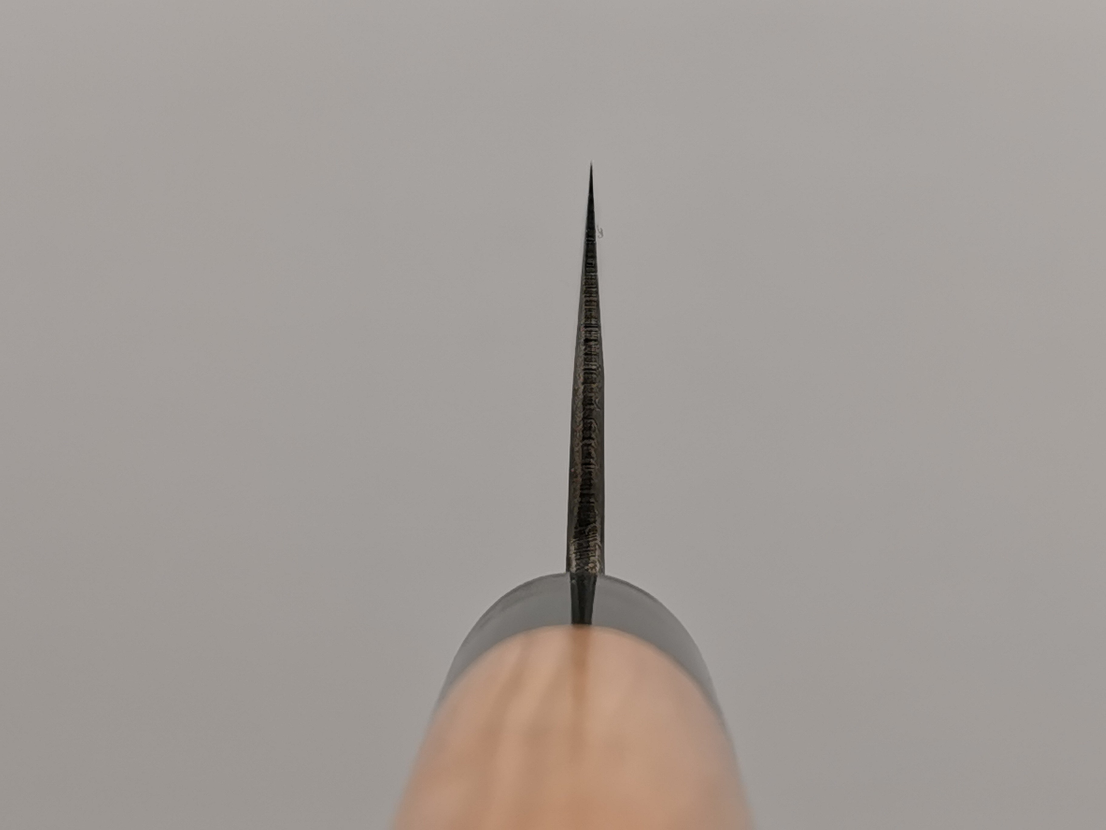 Muneishi Aogami Gyuto 270mm
