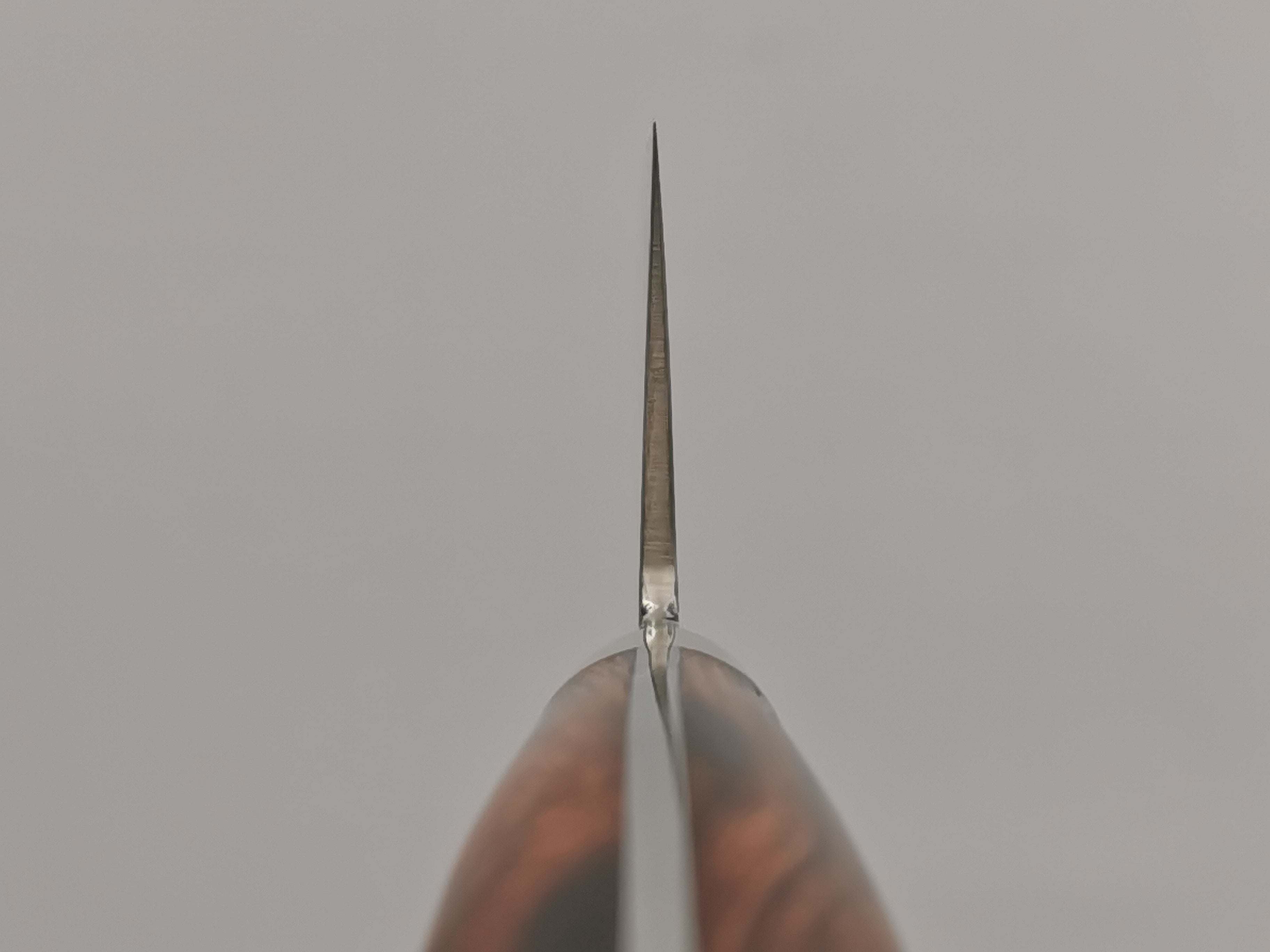 Shigeki Tanaka R2 Damascus Gyuto 240mm with Stabilised Maplewood Handle