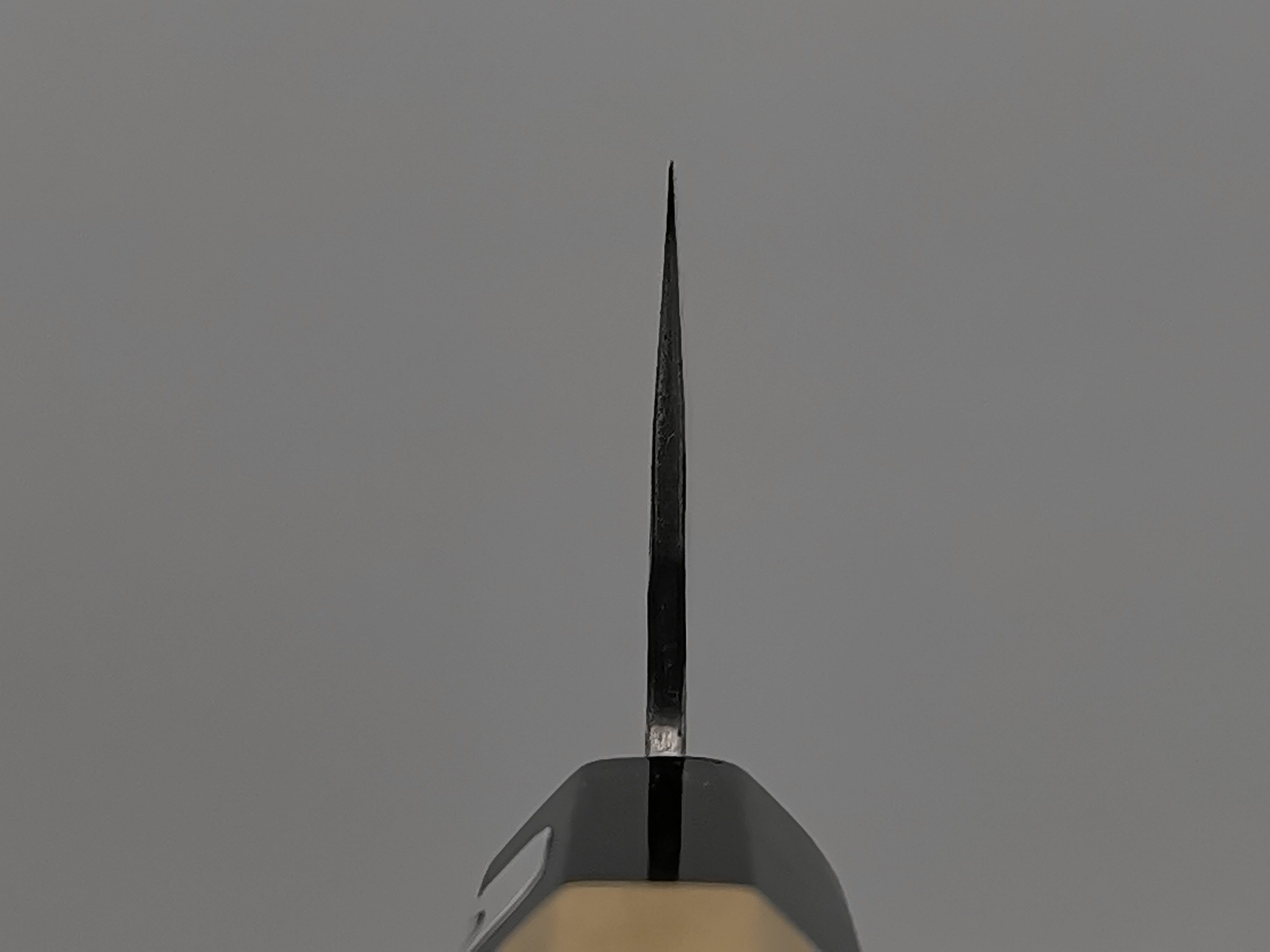 Fujiwara Denka Gyuto 210mm