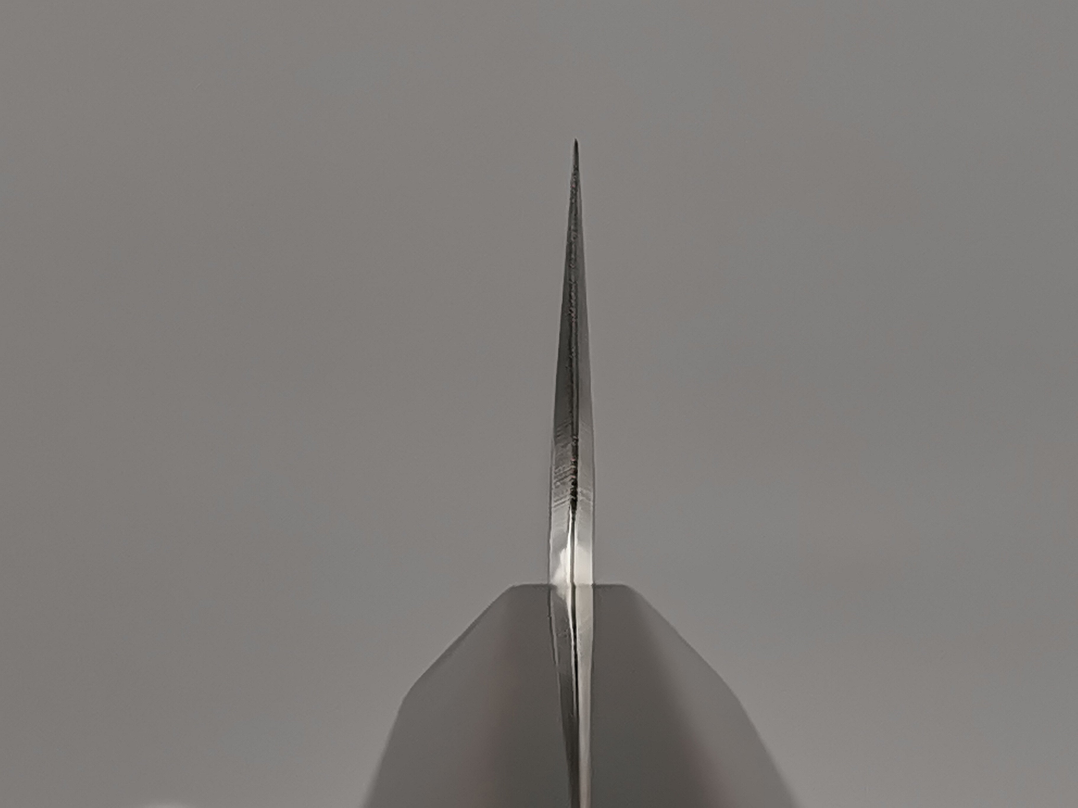 Hado Ginsan Urushi Gyuto 210mm