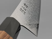 Hatsukokoro Saihyo SG2 Kiritsuke Gyuto 240mm