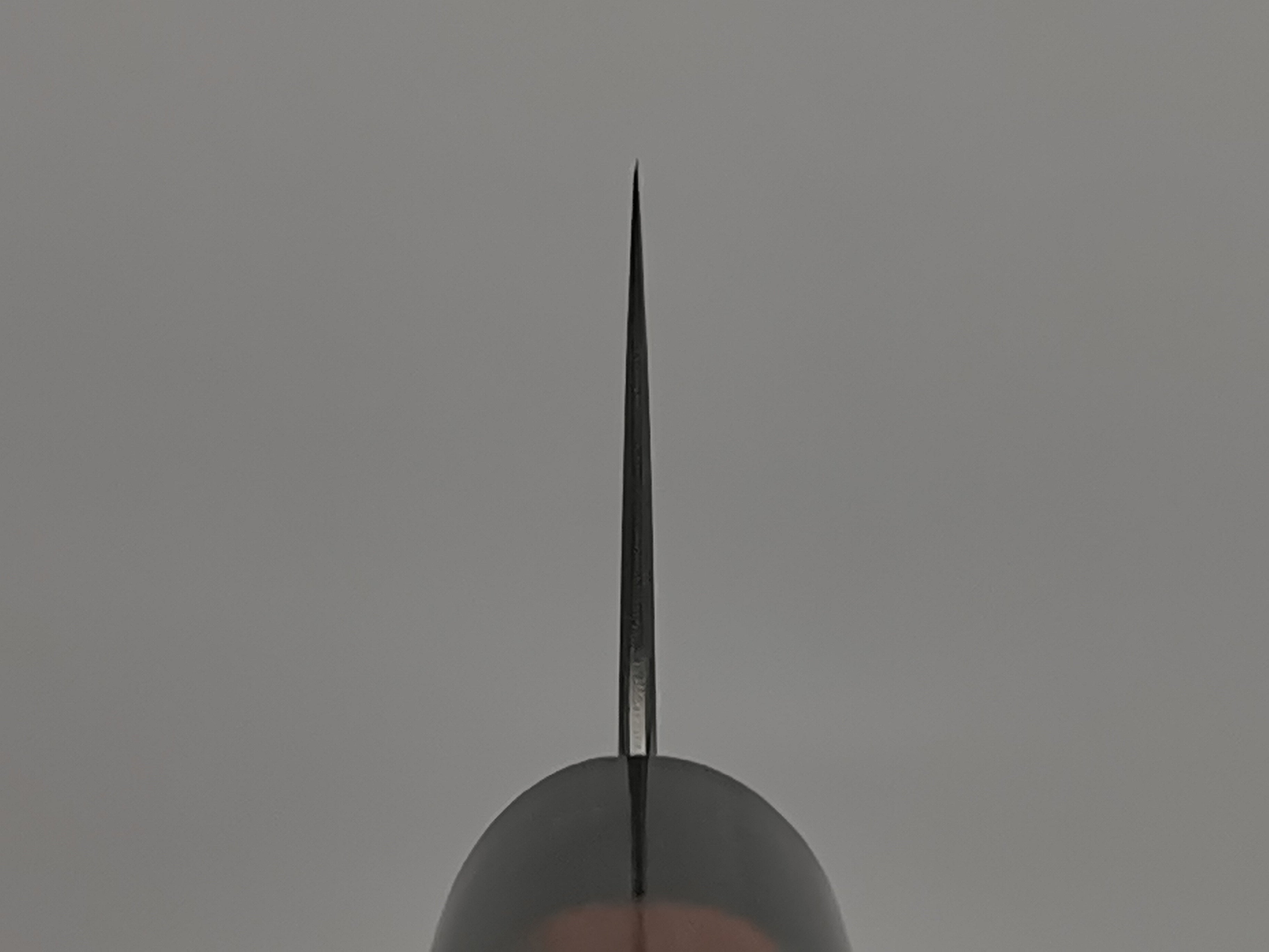 Tsunehisa AS Migaki Gyuto 180mm
