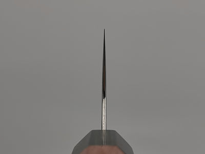 Koutetsu Iron Clad Gyuto 240mm