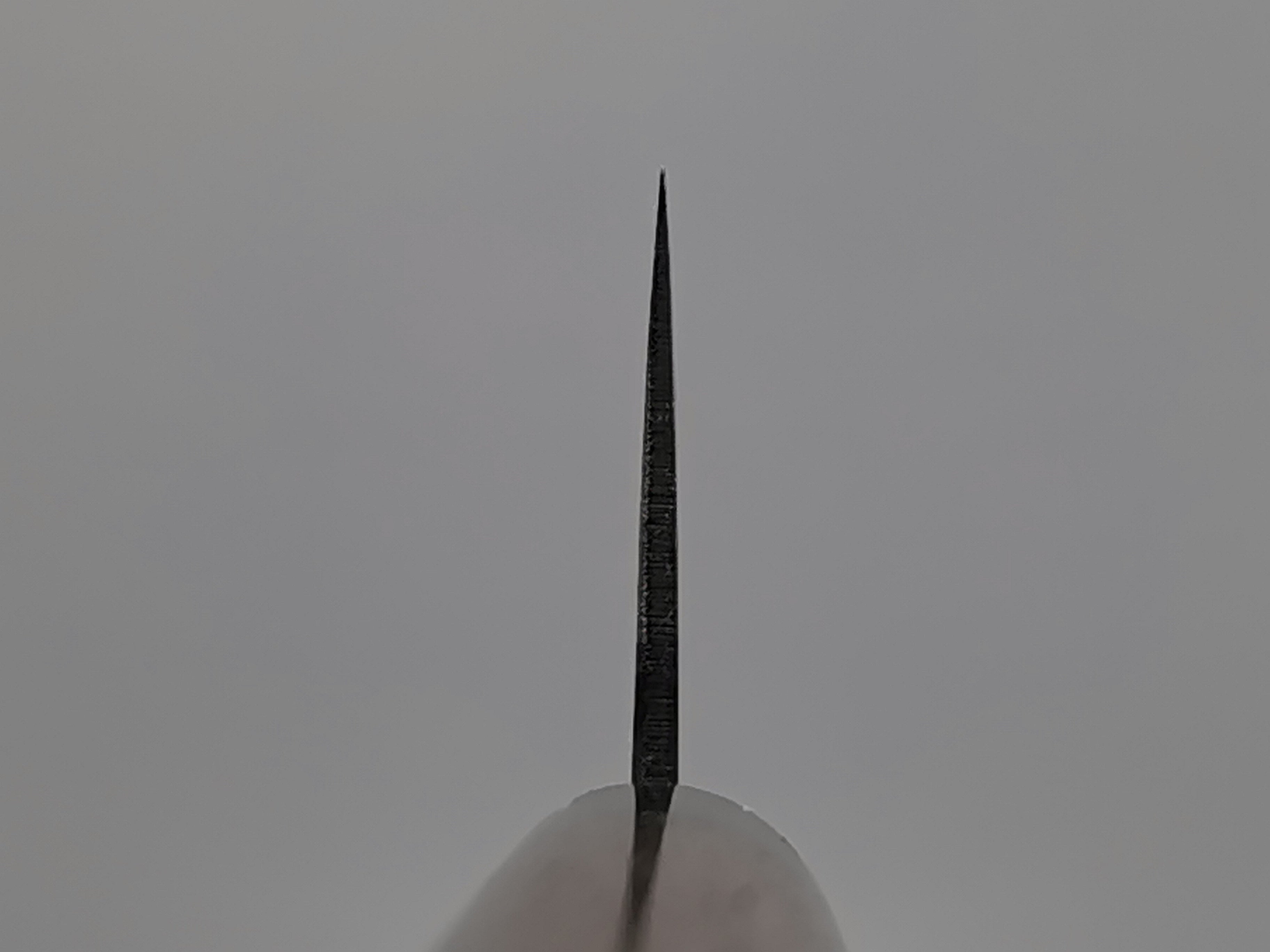 Muneishi Aogami Damascus Gyuto 240mm