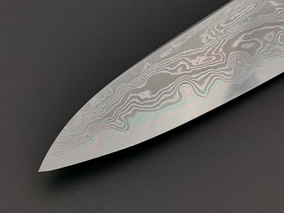 Satoshi Nakagawa X Myojin Naohito Blue #1 Damascus Gyuto 210mm
