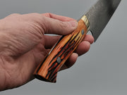 Takeshi Saji VG10 Rainbow Damascus Santoku with orange bone handle